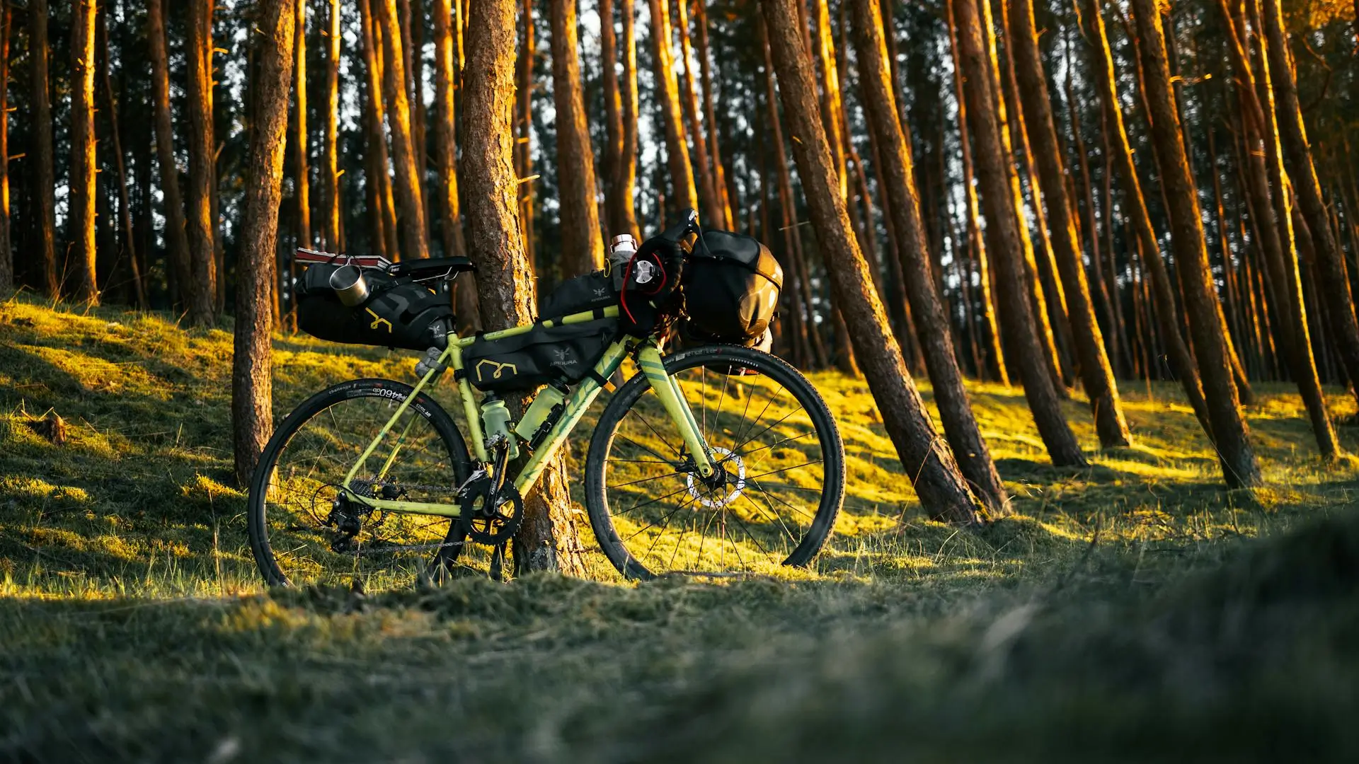 Dziewanna - tło sekcji dojazdu