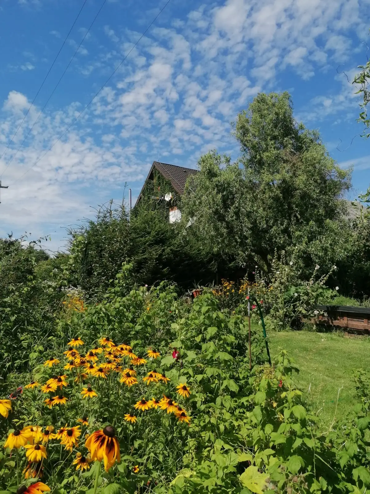 Room.house.images.g1Alt