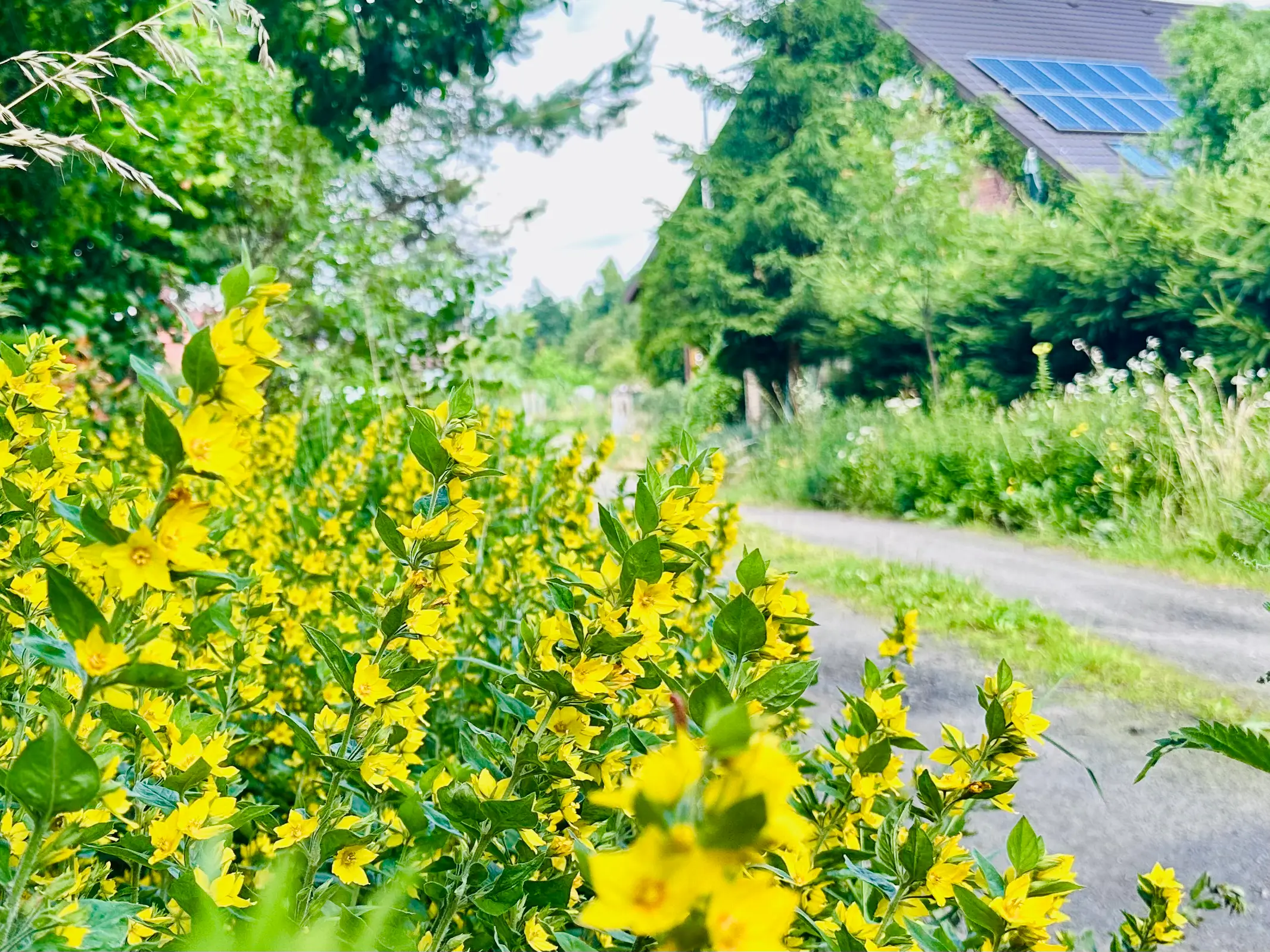 reviews.placeholderAlt